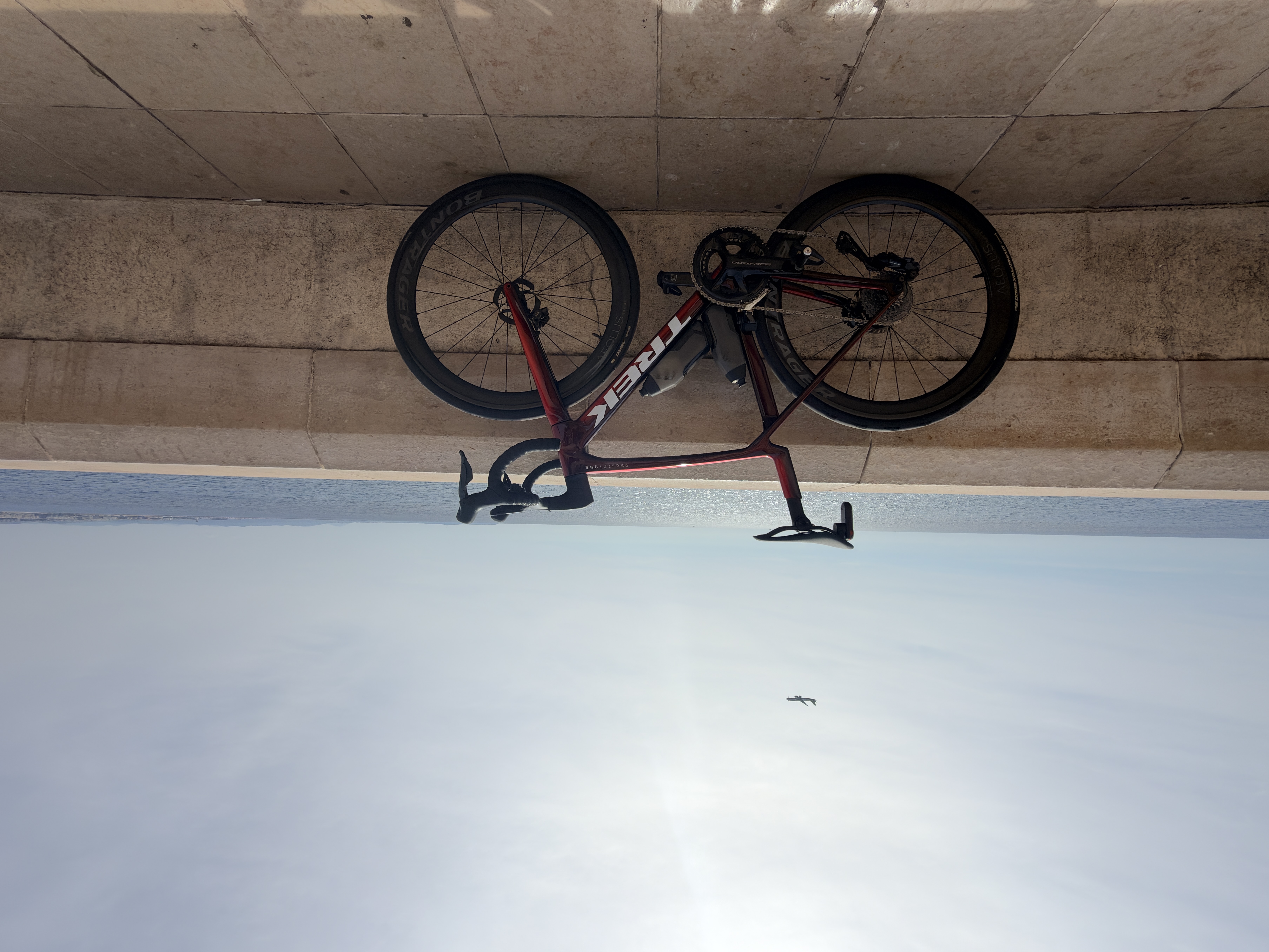 Trek Madone in Nice